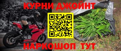 крисы Будённовск