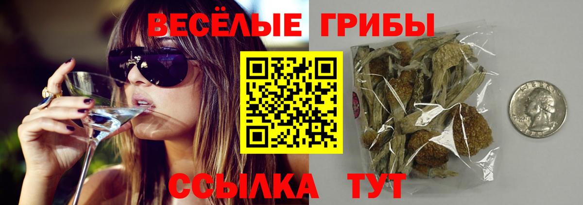 Галлюциногенные грибы мицелий  цена наркотик  Курчалой  Вход с VPN 