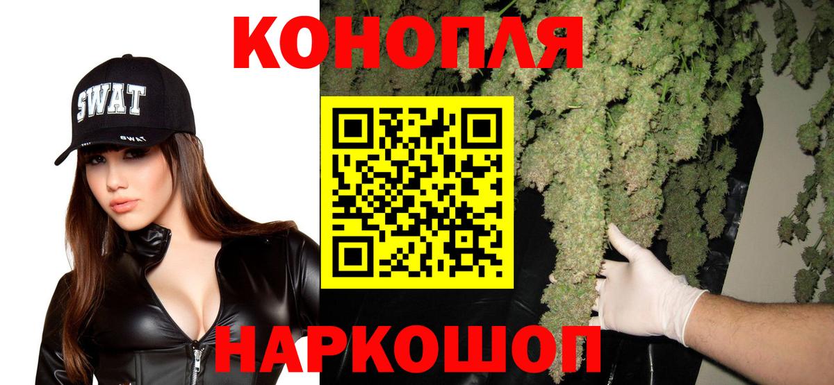 Конопля сатива  Бошки марихуана семена  Вход с VPN  Курчалой 